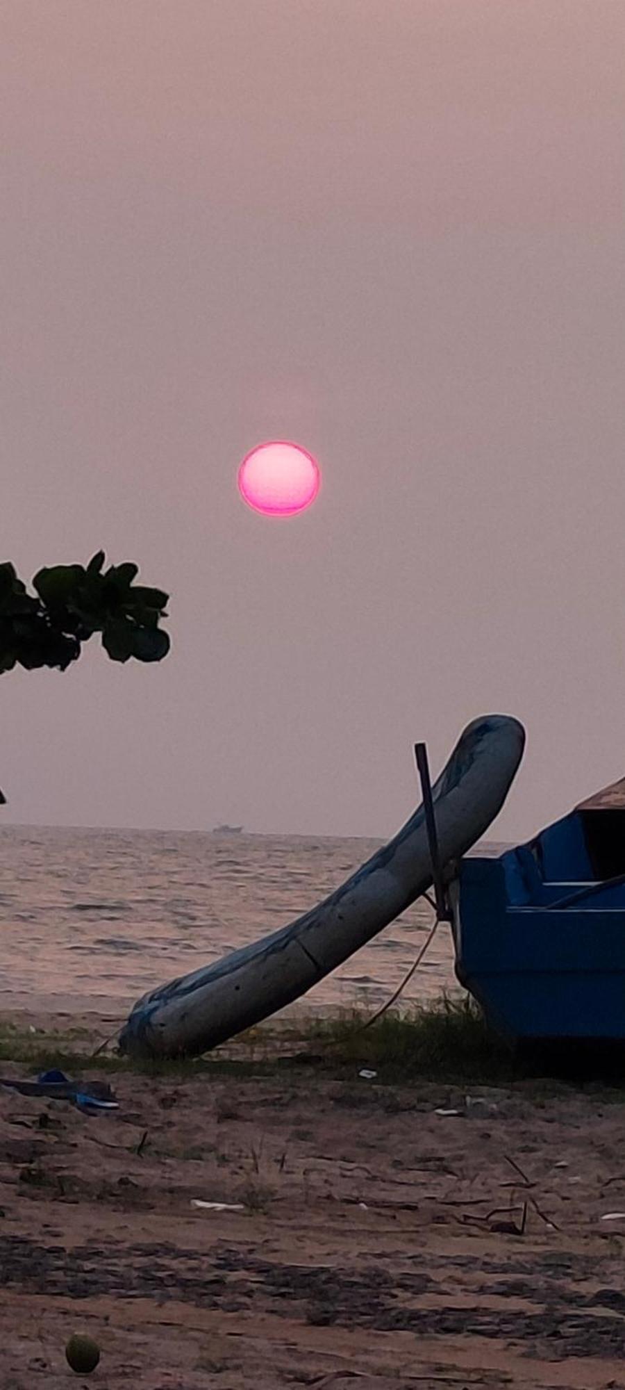 Marari Blue Whale Beach House Alappuzha Bagian luar foto
